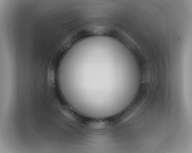 X0000111520646200907211225