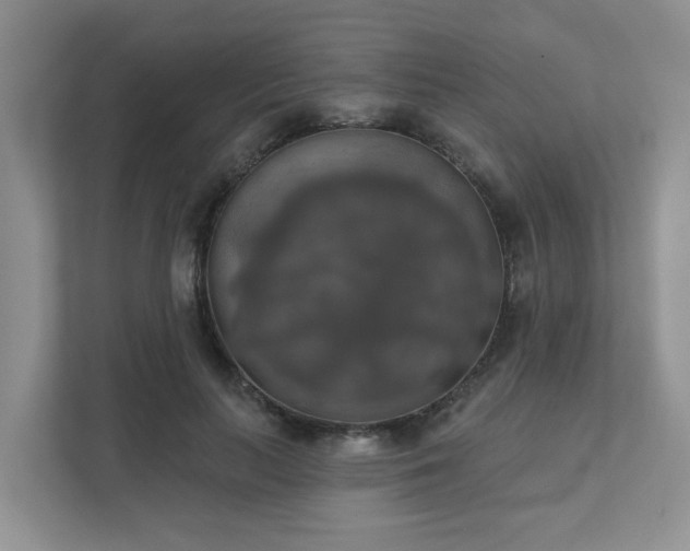 X0000111520647200907211225