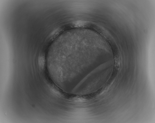 X0000111520648200907211225