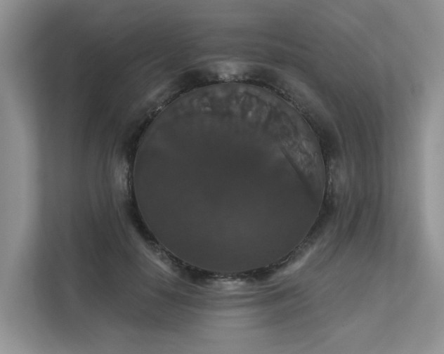X0000111520650200907211225