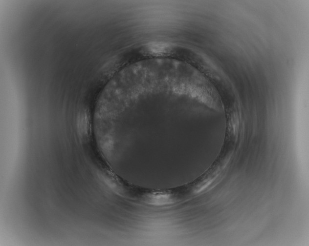 X0000111520651200907211225