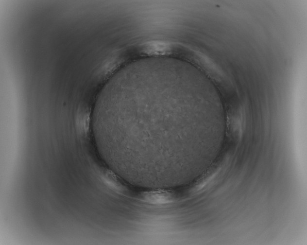 X0000111520652200907211225