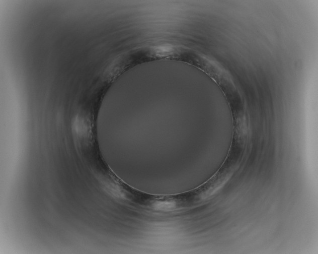 X0000111520653200907211225