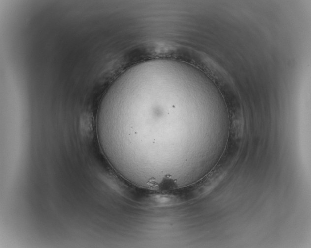X0000111520654200907211225