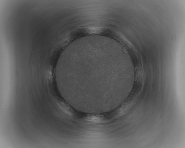 X0000111520655200907211225