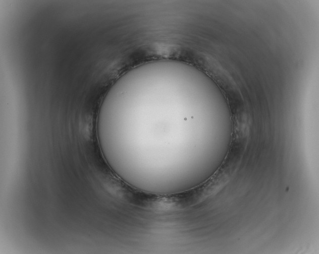 X0000111520656200907211225