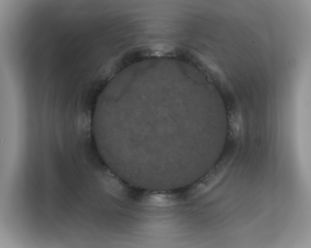 X0000111520657200907211225