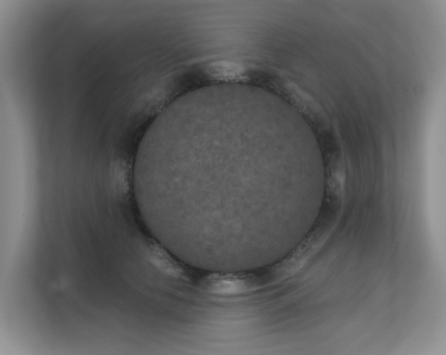 X0000111520658200907211225