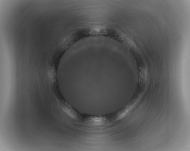 X0000111520659200907211225