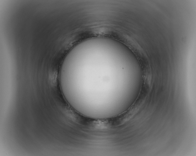 X0000111520660200907211225