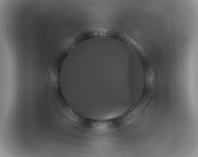 X0000111520661200907211225