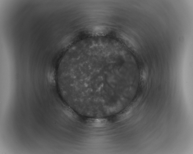 X0000111520663200907211225