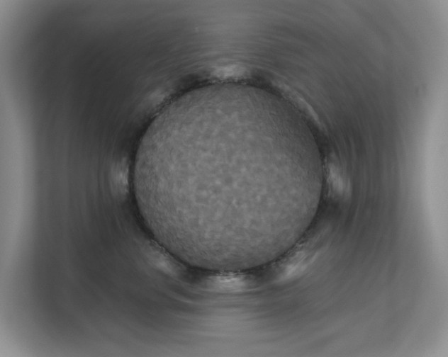 X0000111520668200907211225