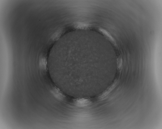 X0000111520669200907211225