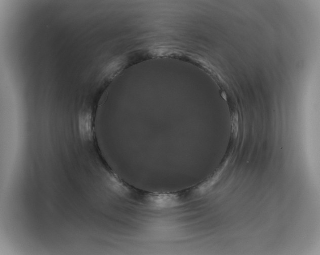 X0000111520670200907211225