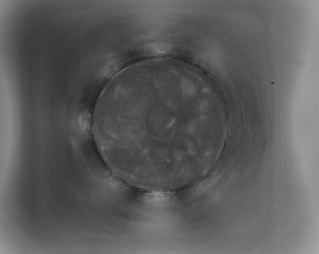 X0000111520672200907211225