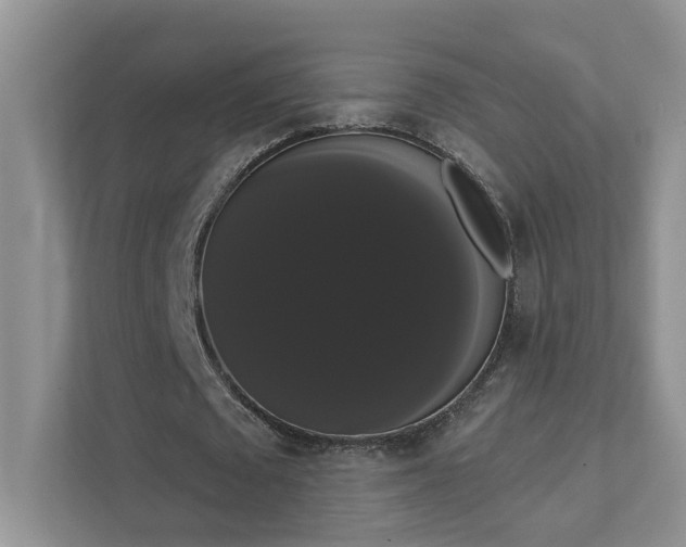 X0000111520673200907211225