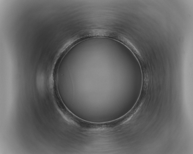 X0000111520674200907211225