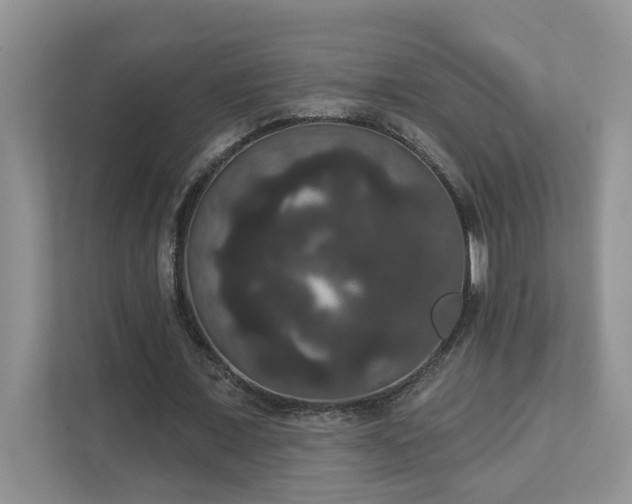X0000111520675200907211225