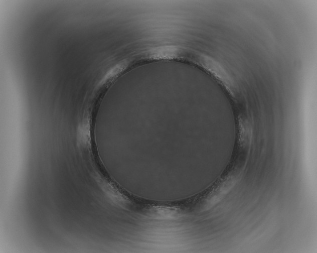 X0000111520681200907211224