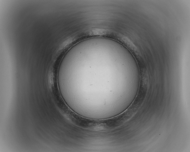 X0000111520683200907211224