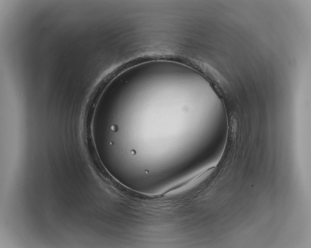 X0000111520684200907211224