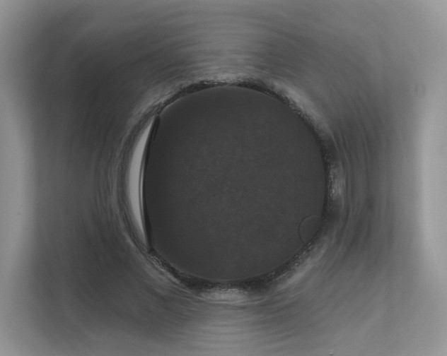 X0000111520685200907211224