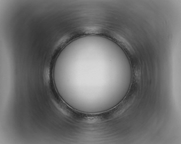 X0000111520686200907211224