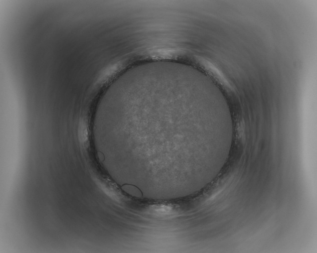 X0000111520687200907211224