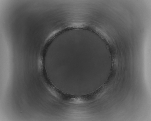 X0000111520688200907211224