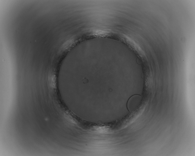 X0000111520689200907211224