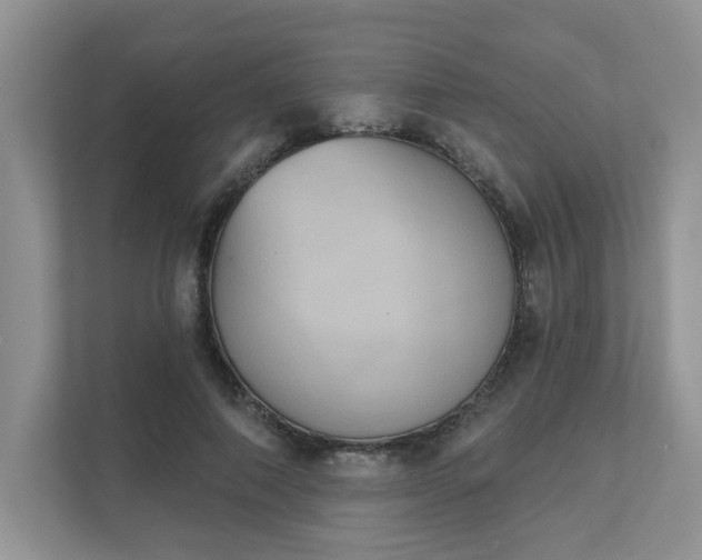 X0000111520690200907211224