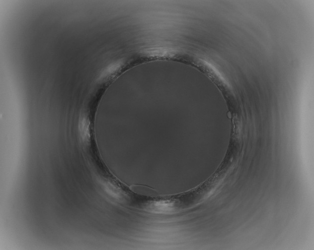 X0000111520692200907211224
