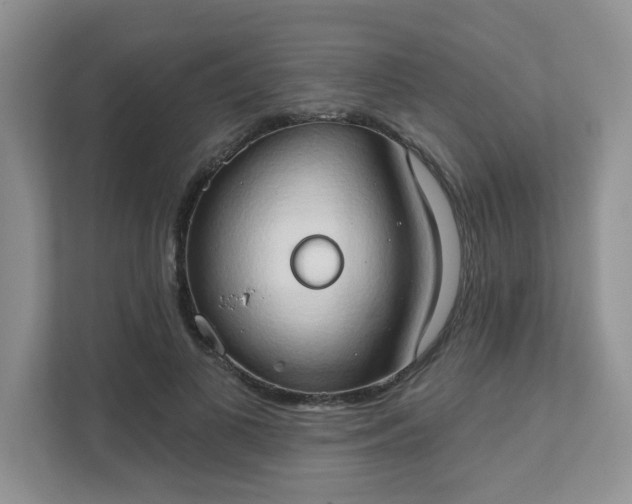 X0000111520693200907211224