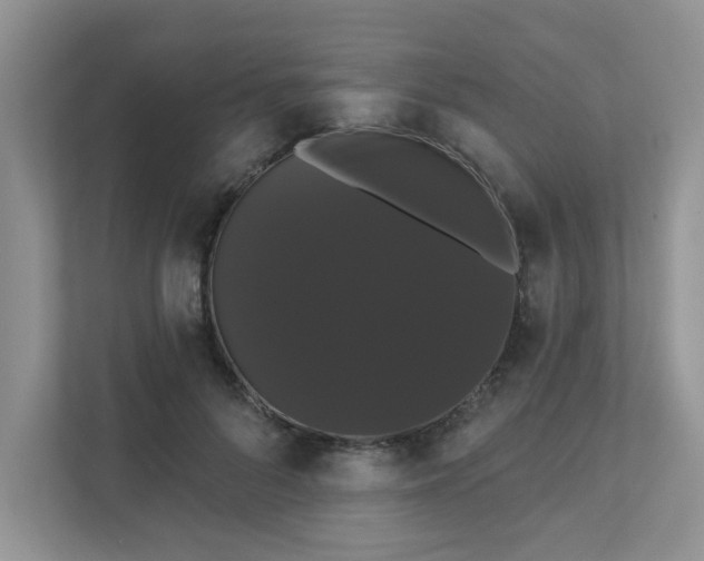 X0000111520696200907211224