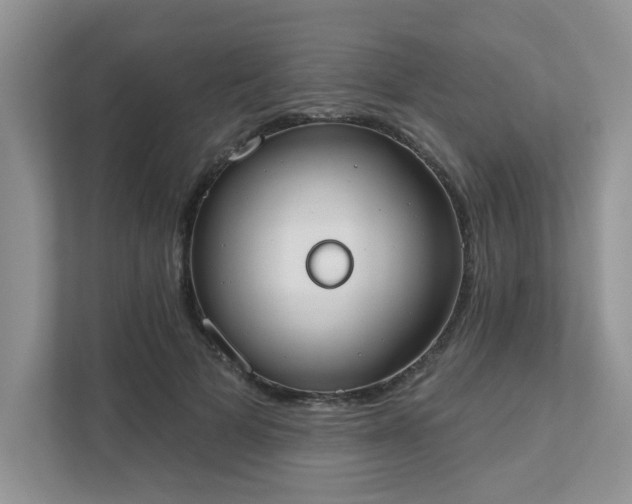 X0000111520697200907211224