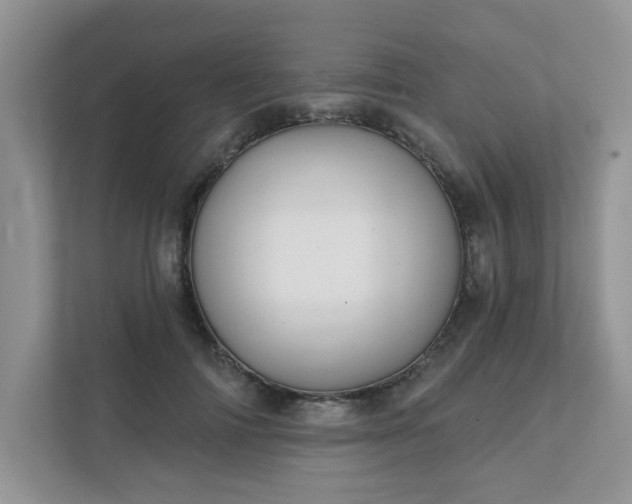X0000111520698200907211224