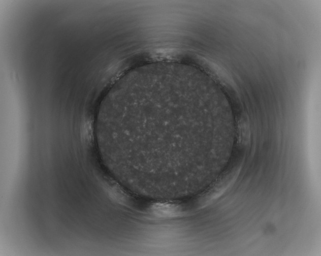 X0000111520699200907211224