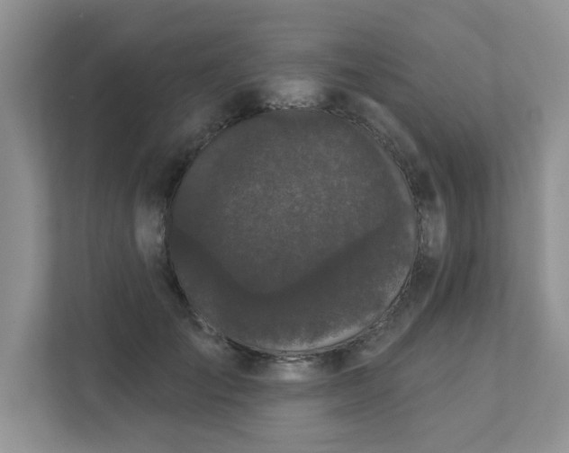 X0000111520701200907211224