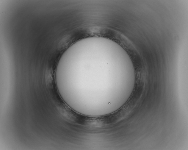 X0000111520702200907211224
