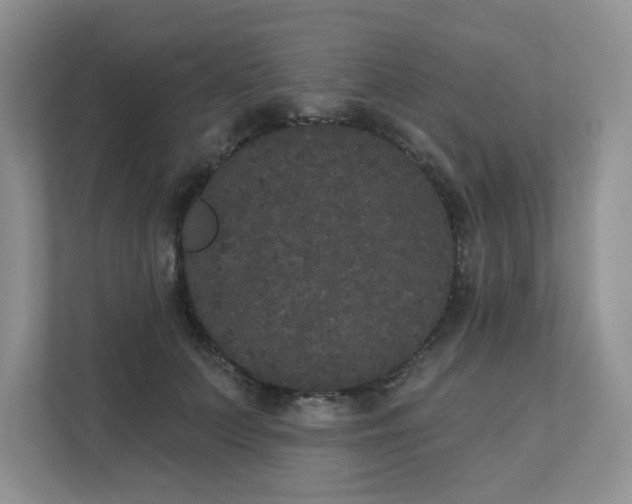 X0000111520703200907211224