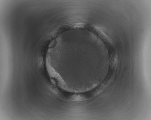 X0000111520704200907211224