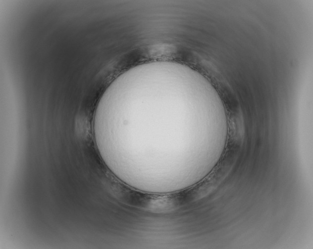 X0000111520705200907211224