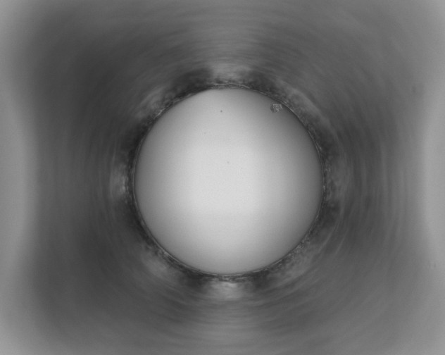 X0000111520706200907211224