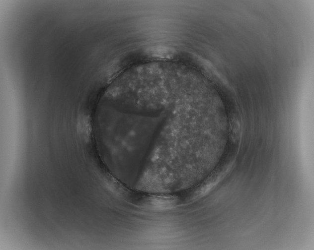 X0000111520707200907211224