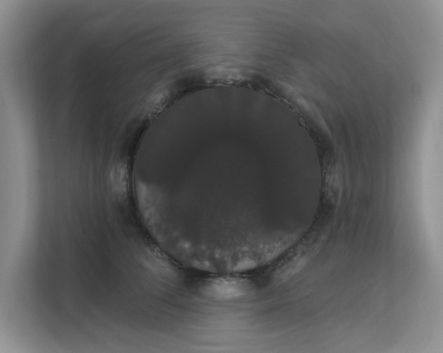 X0000111520708200907211224