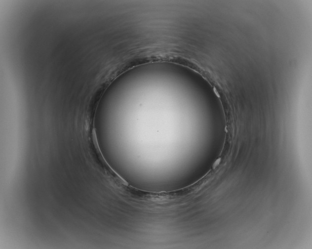 X0000111520709200907211224