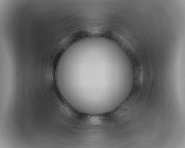 X0000111520710200907211224