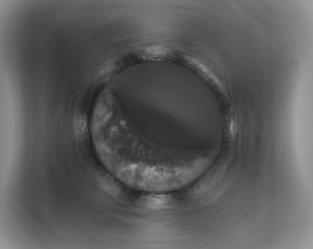 X0000111520711200907211224