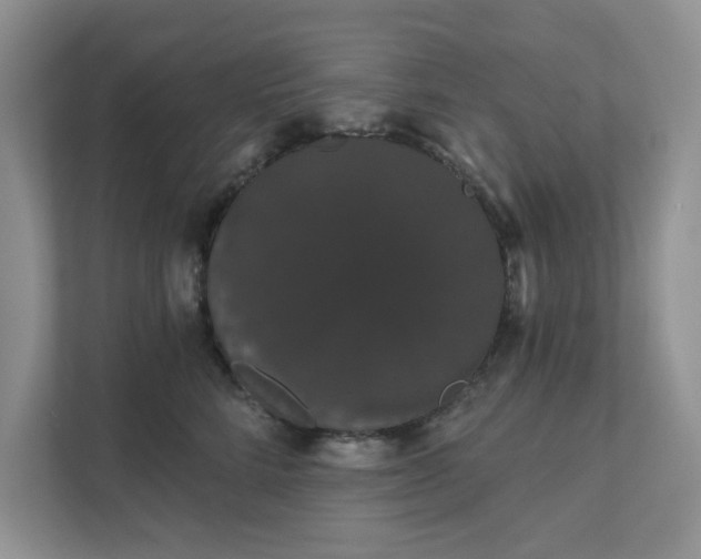 X0000111520712200907211224